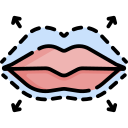 Lip Augmentation