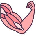 Musculoskeletal Disorders